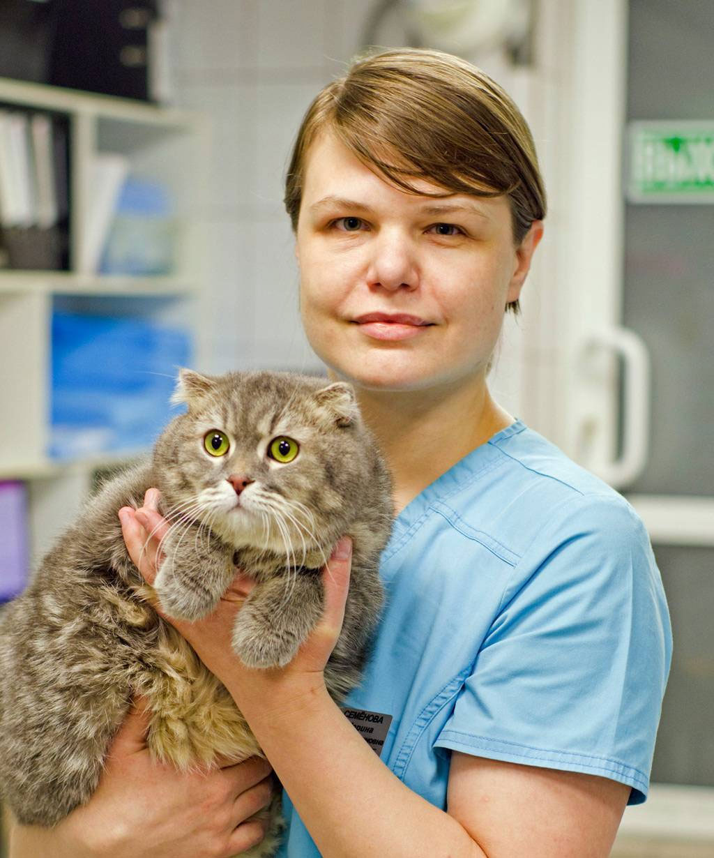 услуги ветеринара Ветеринар на дом в Орехово-Зуево