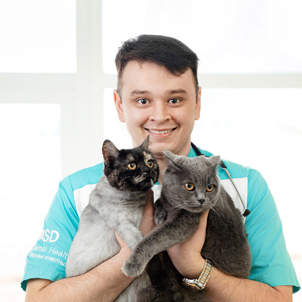 услуги ветеринара Ветеринар на дом в Подольске
