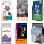 Корма для кошек премиум класса - список, рейтинг и цены - veterinarhelp